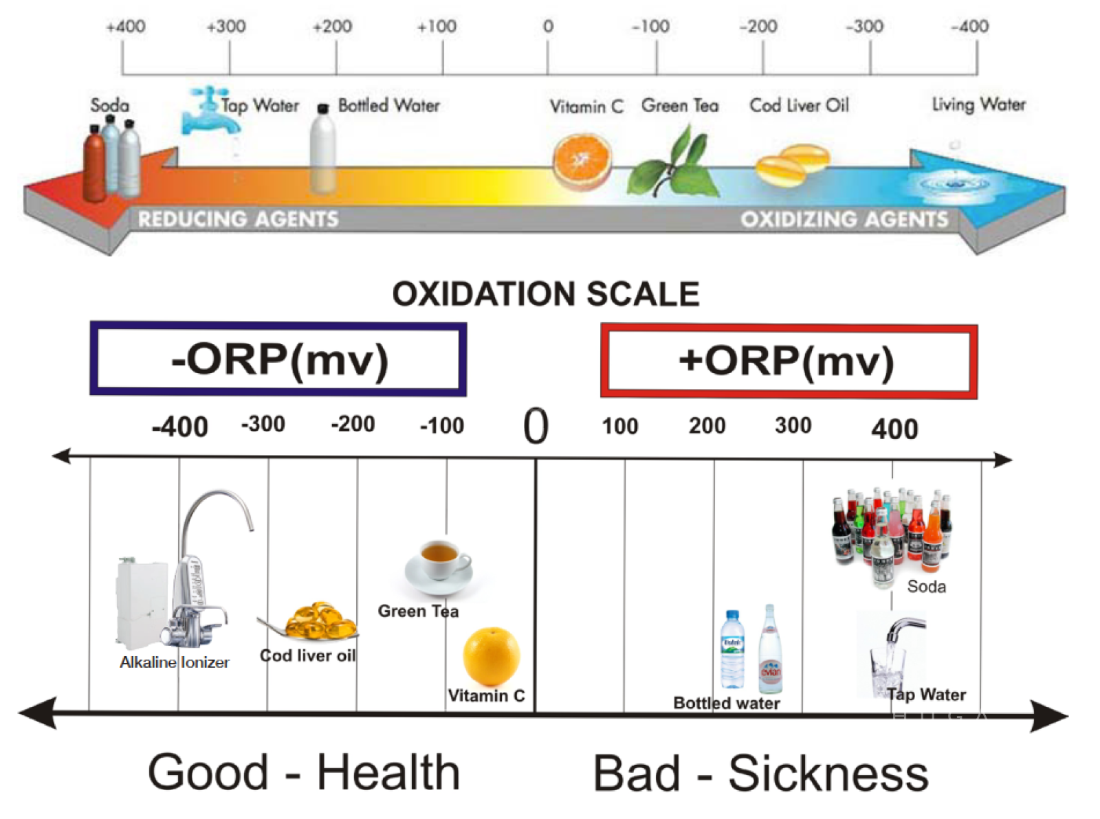 Chỉ Số ORP trên máy ion kiềm