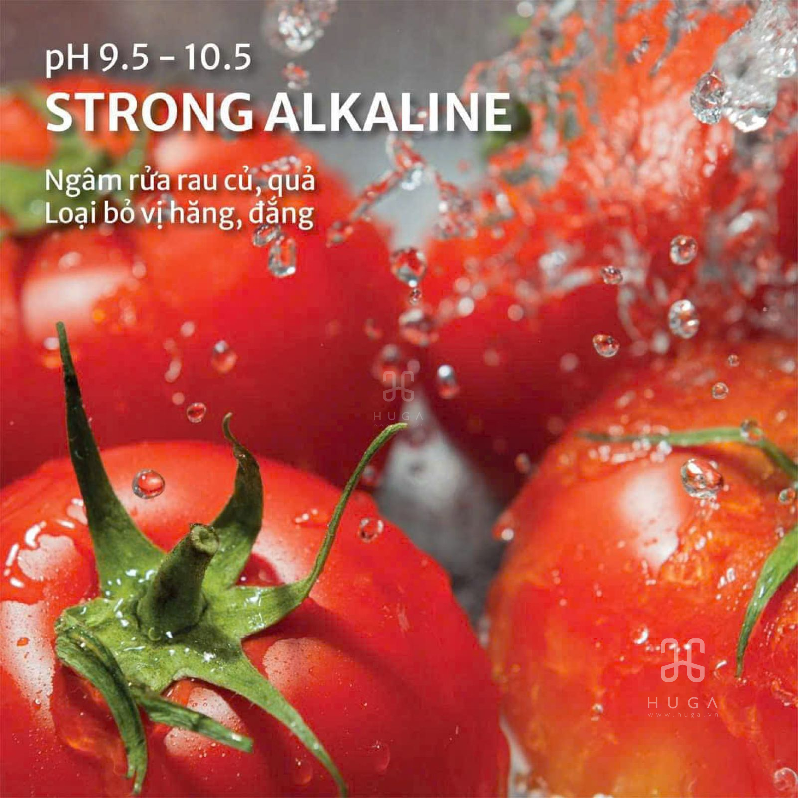 Strong Alkaline - Kiềm mạnh - pH 9.5 - 10.5